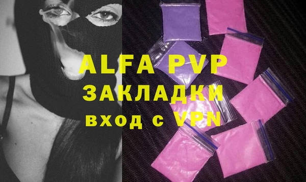 круглые Белокуриха
