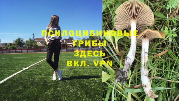 2c-b Белоозёрский