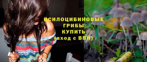 круглые Белокуриха