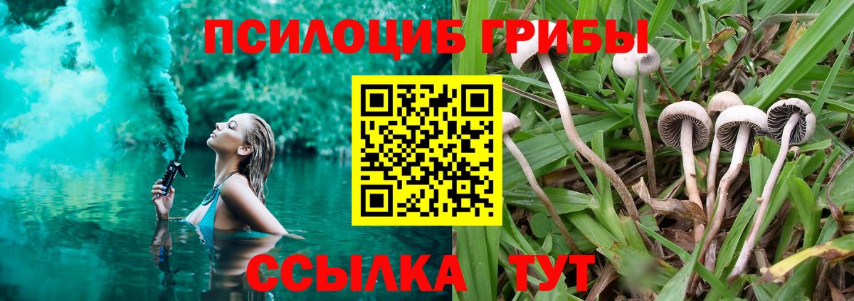 Галлюциногенные грибы Magic Shrooms  Вход с VPN  купить наркоту  Губаха  Псилоцибиновые грибы Magic Shrooms 