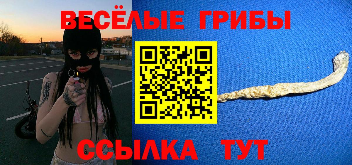 Псилоцибиновые грибы мухоморы  Галлюциногенные грибы Psilocybe  Губаха 